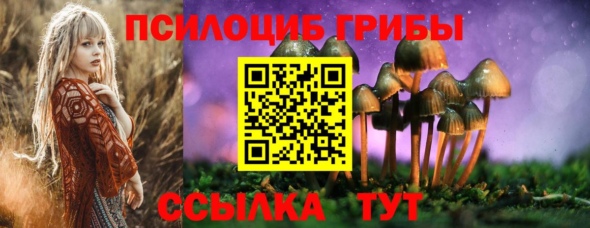 Киселёвск  цена   Вход с VPN  Псилоцибиновые грибы мухоморы 