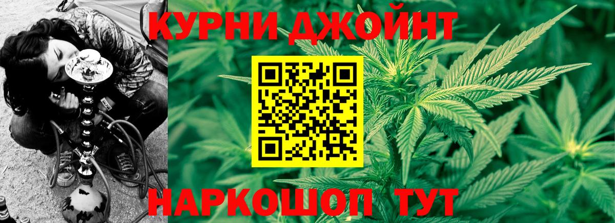 Каннабис планчик  Шишки марихуана LSD WEED  Конопля VHQ  Киселёвск  Вход с VPN 